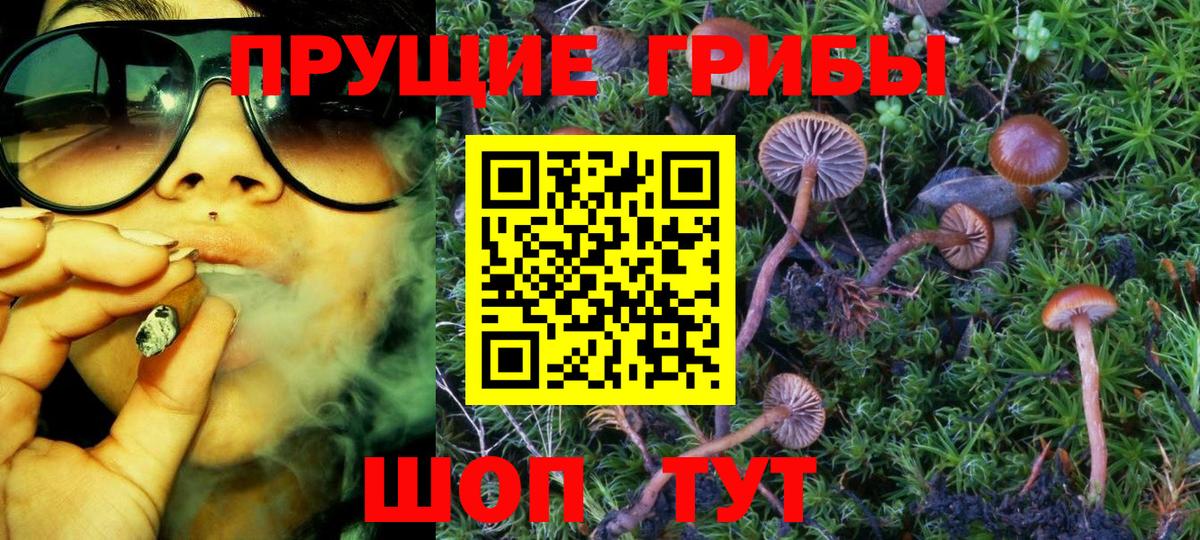 Нововоронеж  Галлюциногенные грибы ЛСД  Вход с VPN 